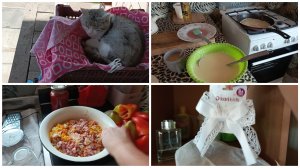 Ездили в больницу. Не дали справку. Закрываю соус на зиму