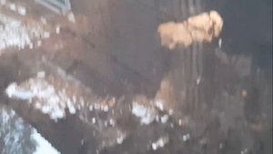 Снова сюрпризы от РВК! 🎁 Или "С Днём знаний, соломбальцы!"