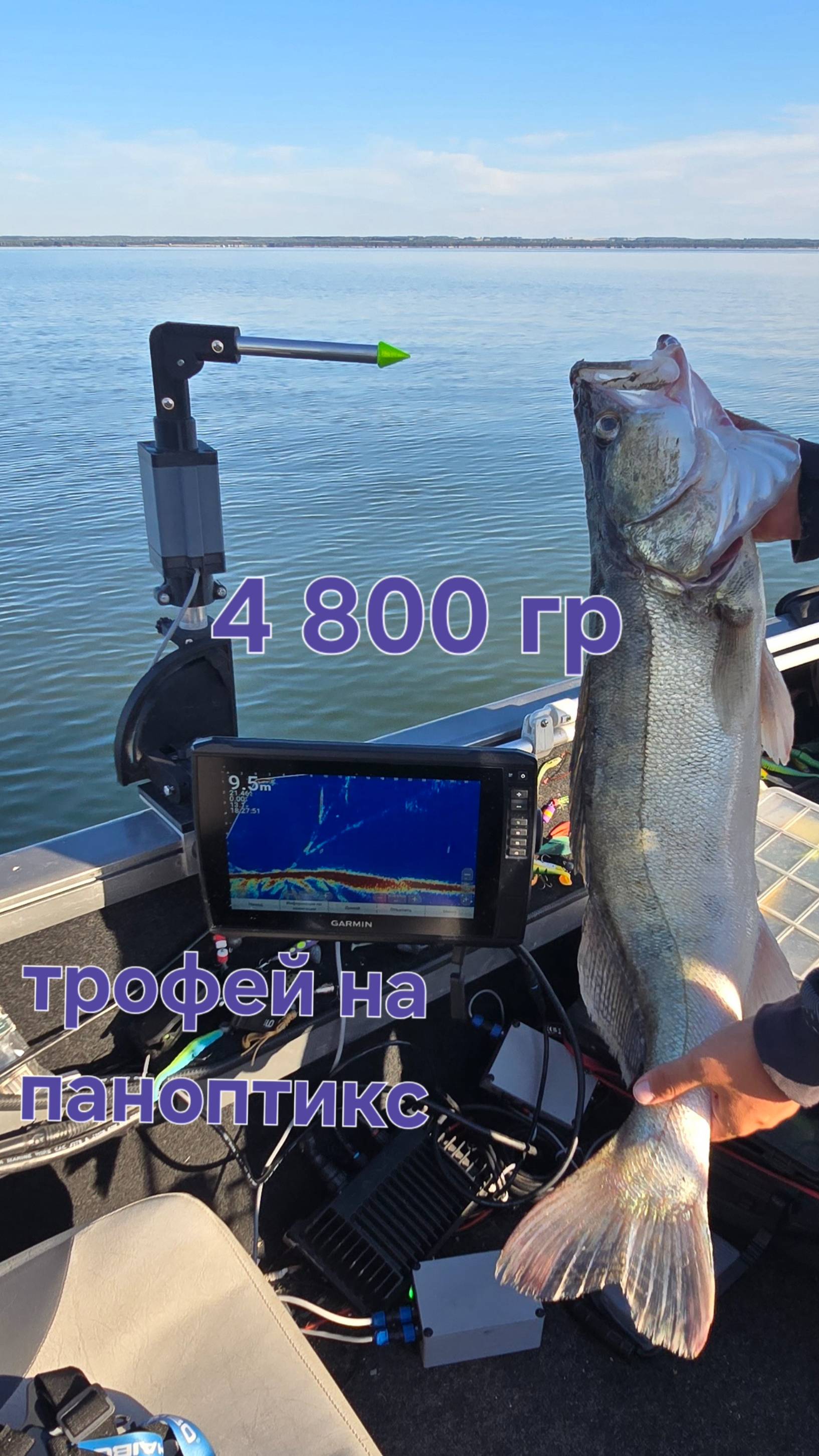 ШОКИРУЮЩИЙ УЛОВ! Этот судак клюнул благодаря Panoptix смотреть онлайн