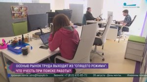 Рынок труда осенью: что учесть при поиске работы?