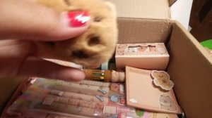 Набор канцелярии с капибарой 🦫