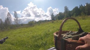 Деревня Соснино (на велосипеде за грибами)