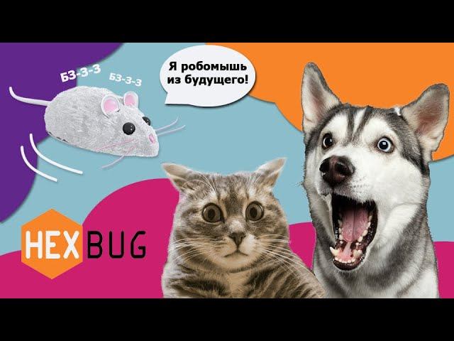HEXBUG Мышь-Микроробот