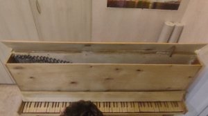 Кукушка на самодельном пианино!