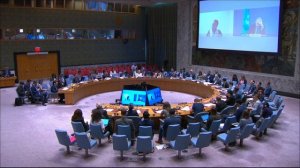 Выступление Д.А.Полянского в СБ ООН по ситуации в секторе Газа