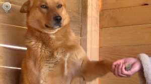 НОВОСТИ УТРА – 28 августа 2025