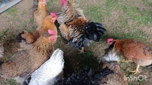 28-08-2025. У нас пополнение 🤗