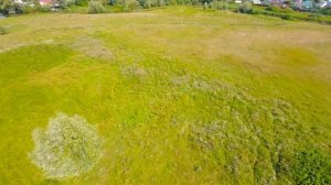 Просто я чилловый парень