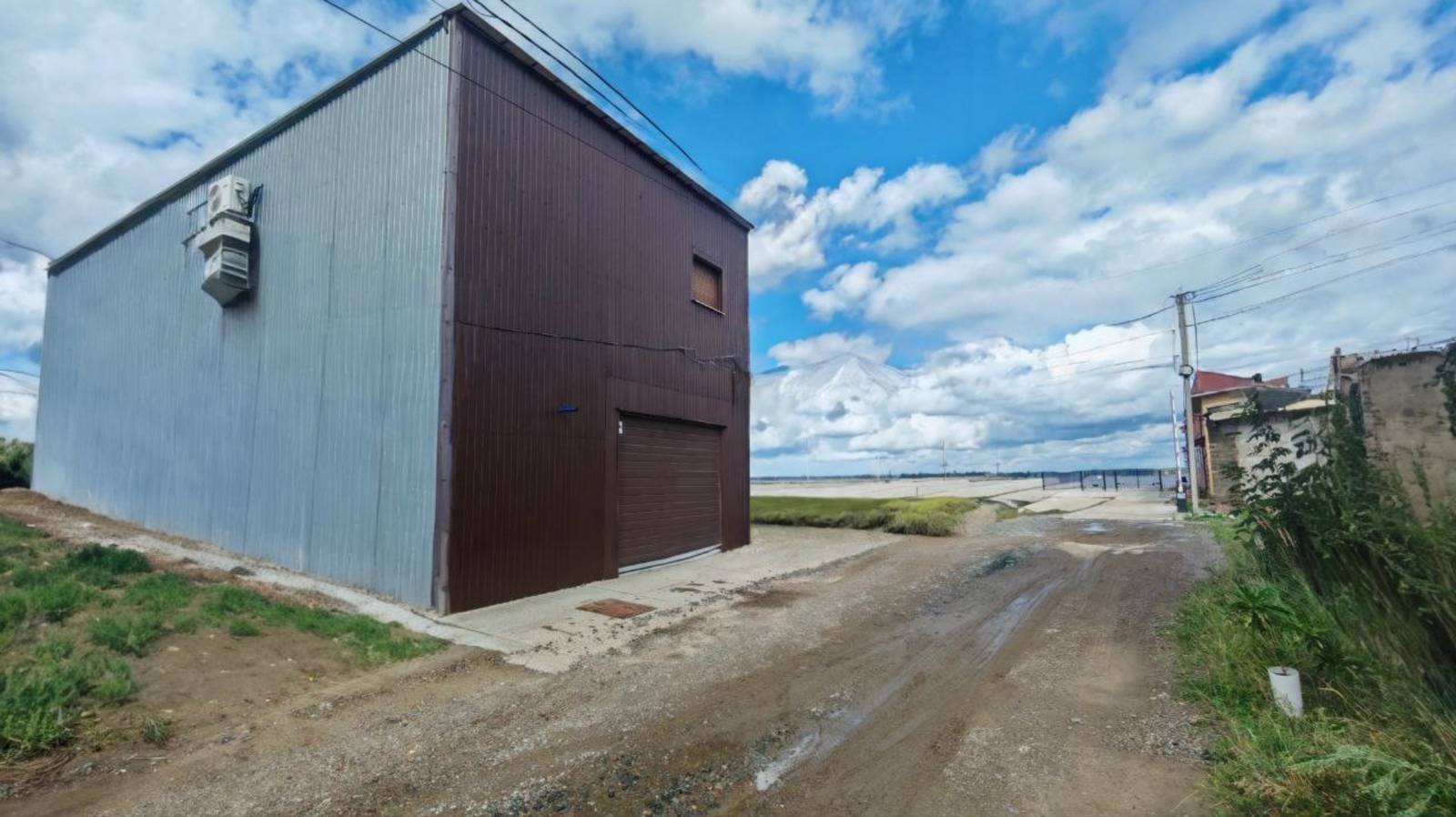 Эллинг - эксклюзивное предложение для вас смотреть онлайн