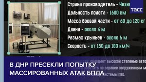 В ДНР пресекли попытку массированных атак БПЛА