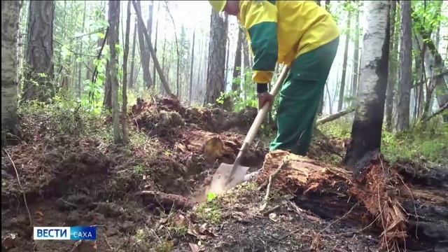 ГТРК Саха_В Якутии за прошедшие сутки ликвидировано 7 лесных пожаров