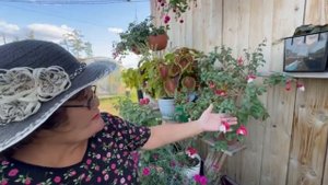 Тиэргэн-2025: Марина Ивановна уонна Трофим Иванович Алексеевтар, Быракаан