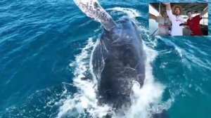 самый дорогой отель в мире