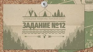 Заповедные каникулы _ 12 задание