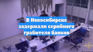 В Новосибирске задержали серийного грабителя банков