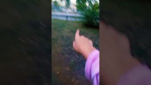 к сожелению больше в размере нельзя опубликовать≈ гуляю