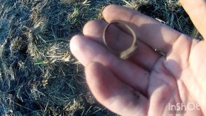 КОЛЬЦО С БРЮЛИКОМ, коп по старине.