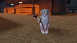 Сьемки отменяются!