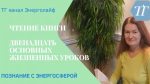 4ч чтения книги 12 жизненных уроков Стива Ротера