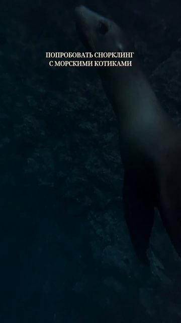 Думаете, Африка — это дикие джунгли и племена? Ошибаетесь!