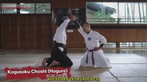 СЁСЁ-РЮ ЯВАРАДЗЮЦУ - ШКОЛА ВСЕХ НАГРАД (ОЗВУЧКА)