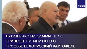 Лукашенко на саммит ШОС привезет Путину по его просьбе белорусский картофель