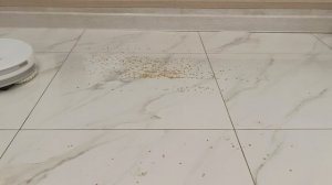 уборка роботом-пылесосом Narwal Freo X Ultra в номинальном режиме