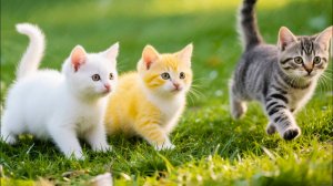 😹Пушистые комочки мило мяукают и бегут к своим друзьям🔥