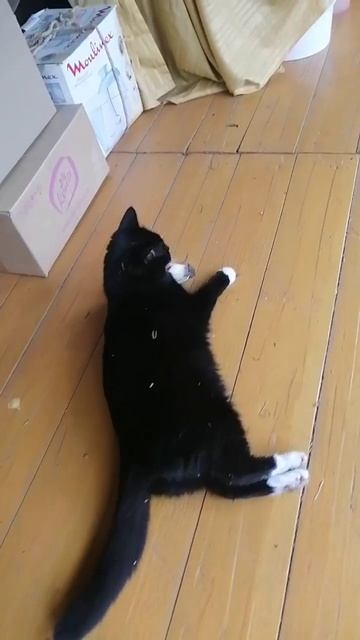 2025-08-28 - Пиксель с добычей