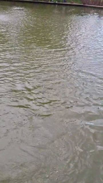 28-08-2025 смотреть онлайн