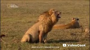 мем вычесть 1 подписчика