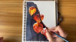 Физалис, часть 6