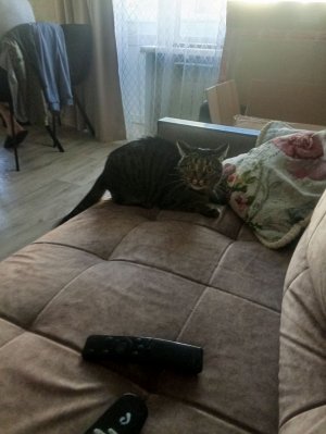 Егорик ждёт 150 подписчиков