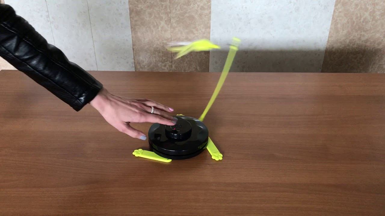 COOCKOO Игрушка интерактивная для кошек Hide from cats ( часть 2)