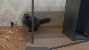 ХОББИ-ВЛОГ. Мой новый уголок для разкрашивания.