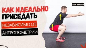 Как идеально приседать независимо от антропометрии