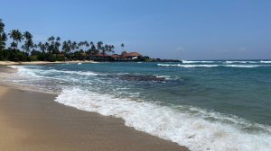 Обзор отеля Dickwella resort&spa , Шри-Ланка
