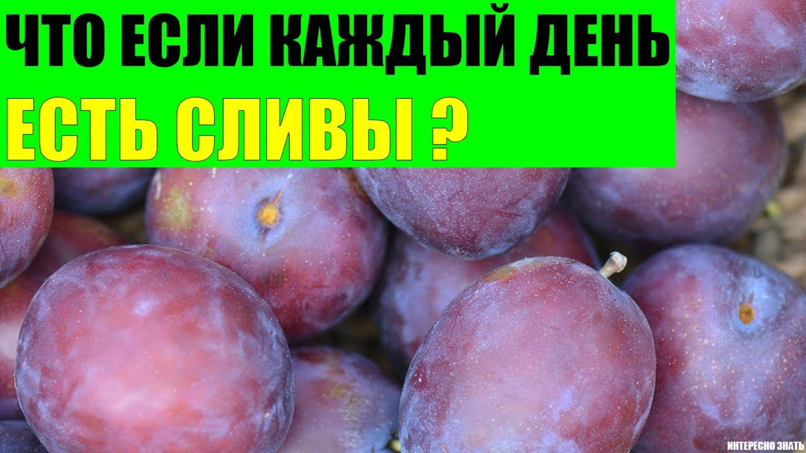 Что будет если каждый день есть сливы? смотреть онлайн