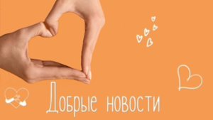 Добрые новости от БФ "Добро 24.РУ" 20.08.2025г