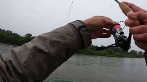 Трофейный голавль!