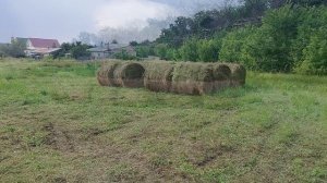 Обработка Дельцидом/ Закупили сено/Ночные гости.