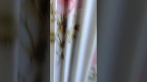 Хз просто так