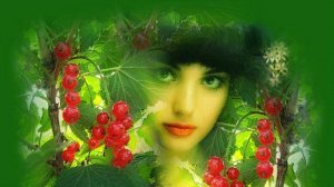 Калина красная, сл., муз. и автор ролика Н. Ильин, исп. Вера Царёва