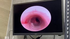 🫁 Точная диагностика дыхания питомца в "Доктор Пух"🔬