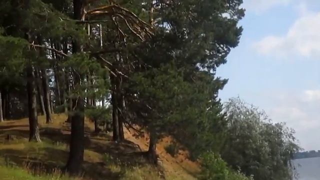 Ну и пусть уже не двадцать - Автор София Егорова музыка Эдуард Изместьев поёт Ринат Сафин смотреть онлайн