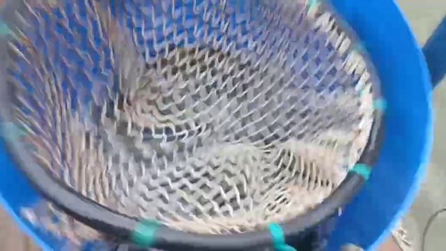 28-08-2025 смотреть онлайн