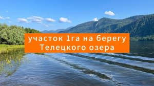 Продаю 1га на берегу Телецкого озера на Алтае, с ручьём, назначение рекреация!