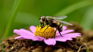 Как меняется мир в зависимости от твоего взгляда