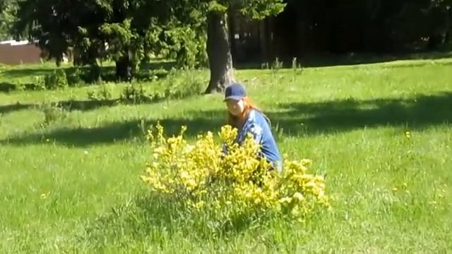 Шальная любовь - Автор музыка и поёт Сергей Рассадин смотреть онлайн