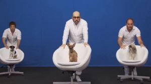 OK Go - White Knuckles - Official Video